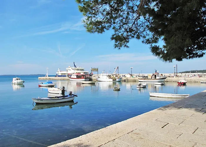 Old Olive Vi By Interhome 보드냔